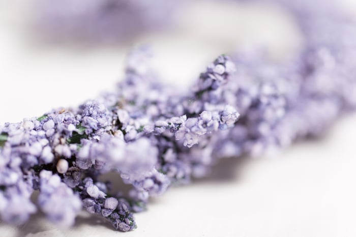 Lavender Vanilla Square Soap image